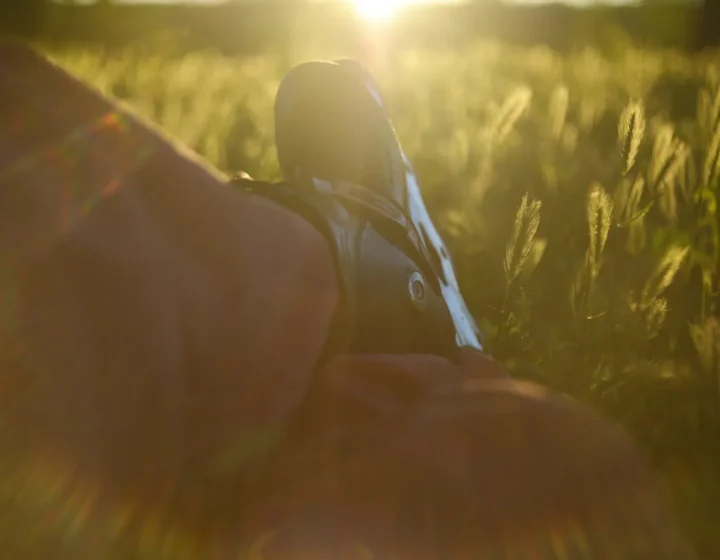 A wristwatch held in warm, low sunlight
