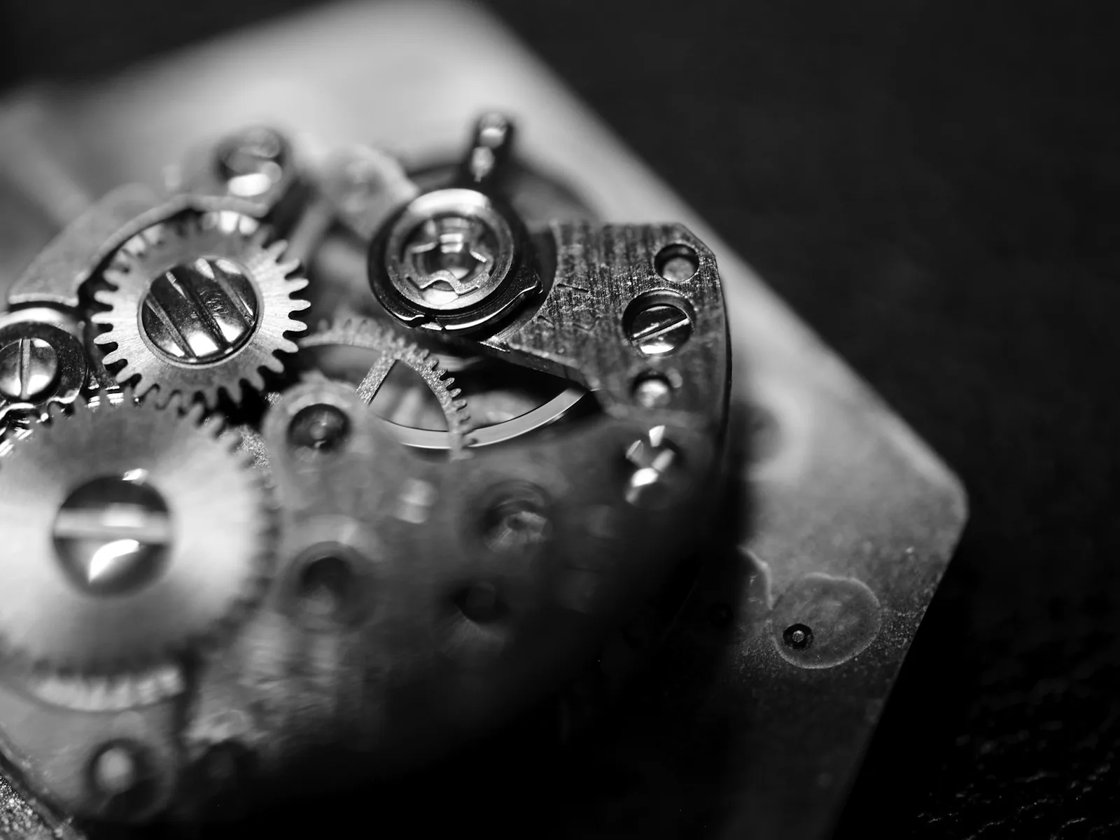 Small watch movement components laid out on a light surface