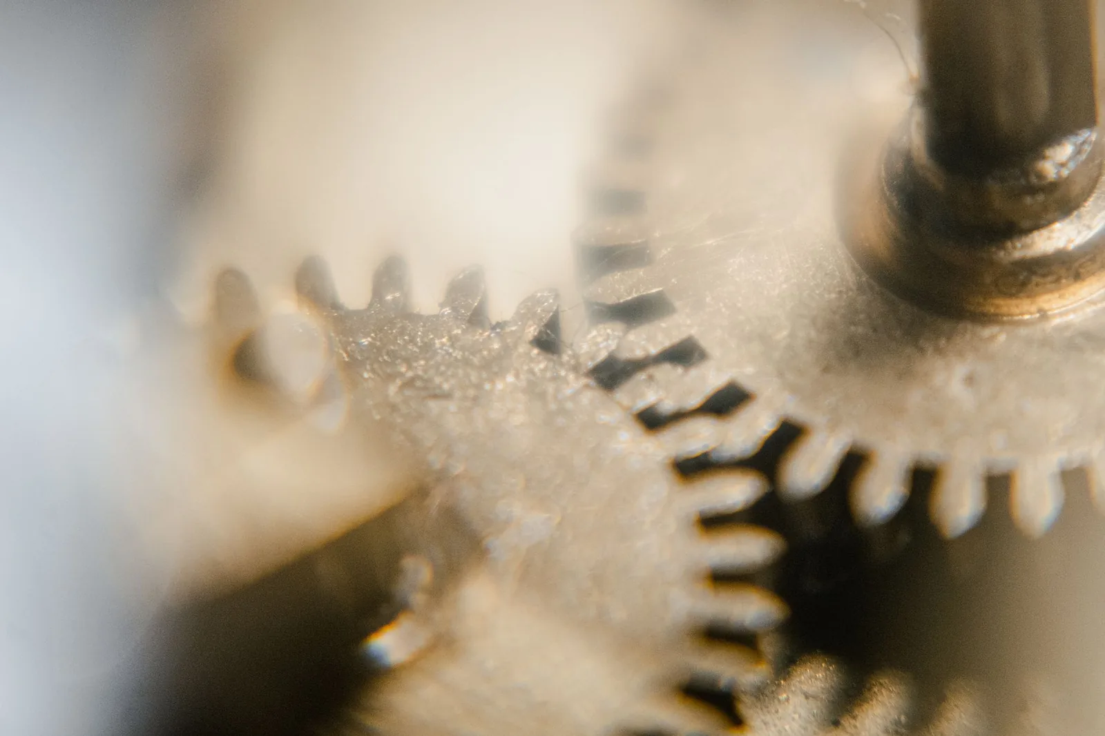 Brass wheels of a watch gear train meshing at high magnification