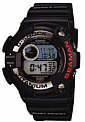 Casio DW9950-1V watch