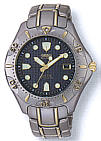 CITIZEN AP0254-51H watch