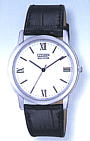 Citizen AR0010-02A watch