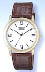 Citizen AR0012-07A watch