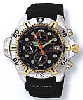 Citizen BJ2004-08E watch