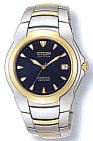 Citizen BL0024-50L watch