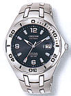 Citizen BL1020-55H watch