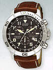 Citizen BL5250-02L watch