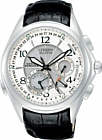Citizen BL9000-08A watch