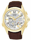 Citizen BL9002-02A watch