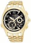 Citizen BL9002-53E watch