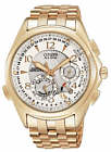 Citizen BL9003-51A watch