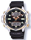 Citizen $279.00 watch