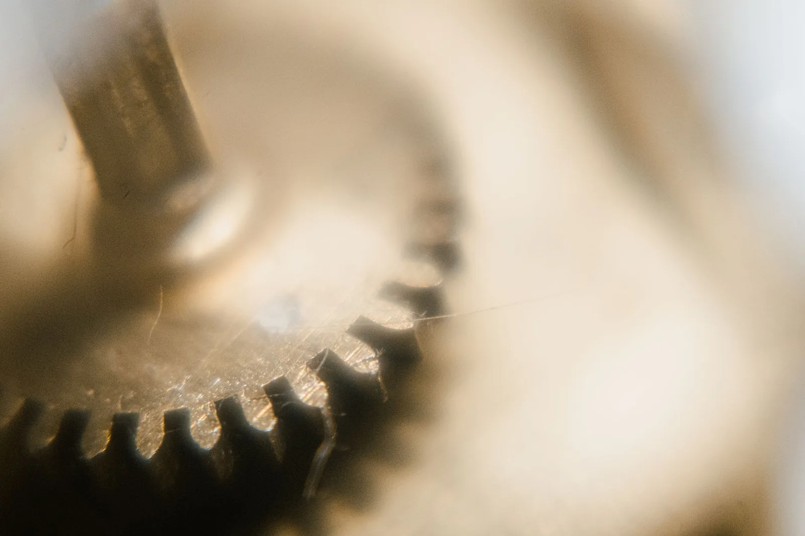 The mainspring barrel and adjoining wheels of a watch movement at high magnification