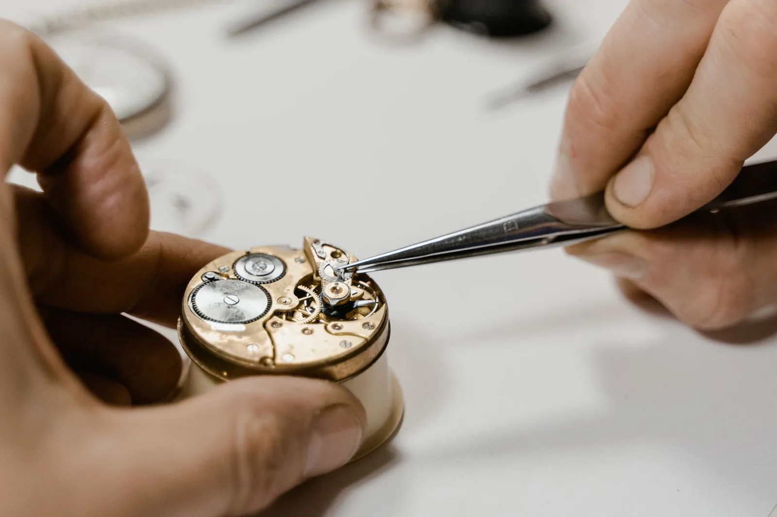 A movement's plate and bridges under a watchmaker's tweezers