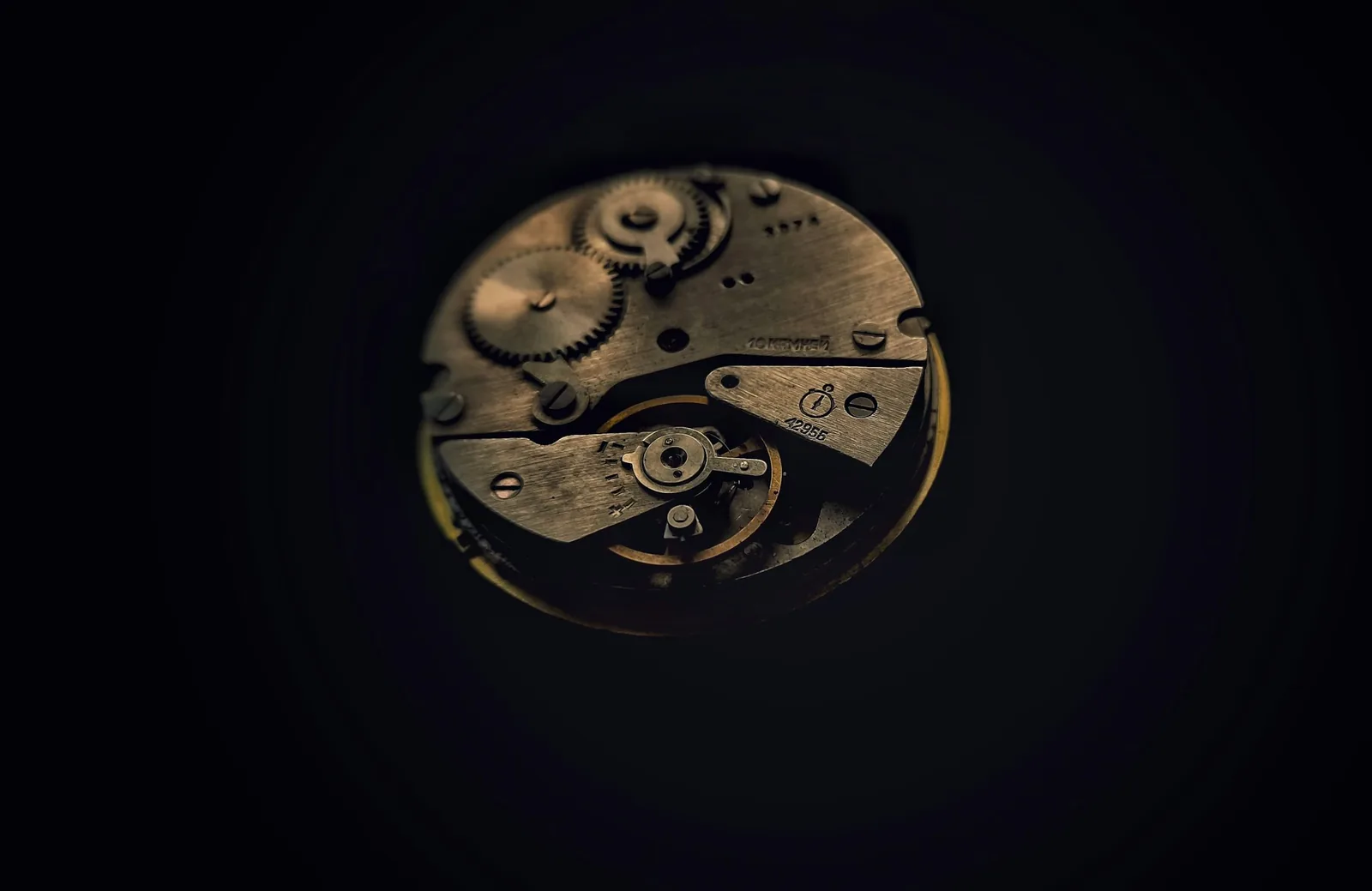 The barrel and mainspring of a watch movement seen at high magnification