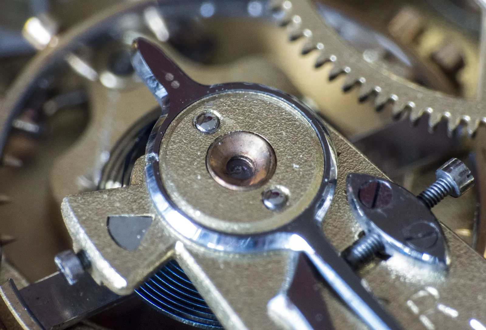 Several watch spring bars laid on a white surface, showing their telescoping ends